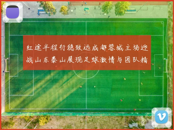 红途半程行稳致远成都蓉城主场迎战山东泰山展现足球激情与团队精神